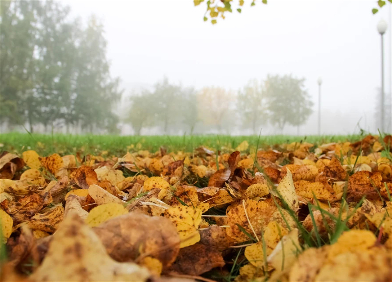Погода на вторник: В Баку ожидается туман