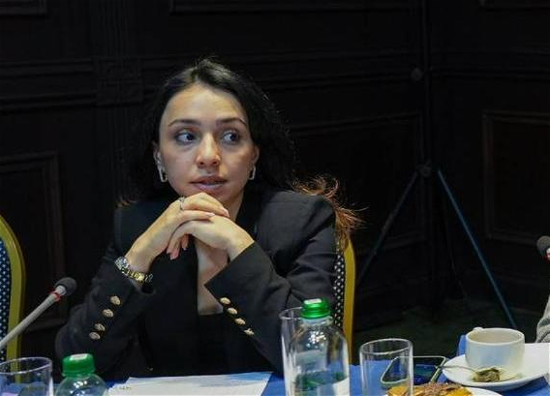 Tsaxkadzor görüşünün iştirakçısı: “Sülh Körpüsü” stereotip və etimadsızlığın aradan qaldırılmasına töhfə verə bilər