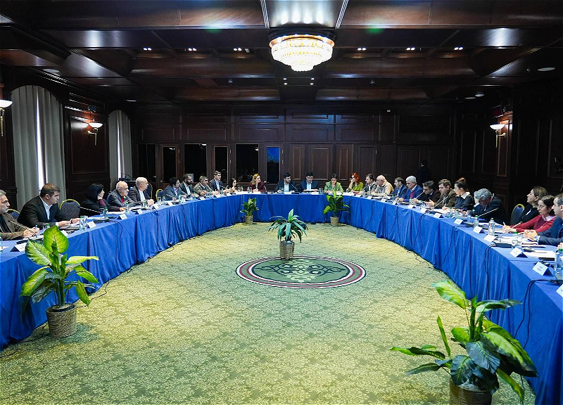 Azerbaijani-Armenian Dialogue in Tsaghkadzor: Participants' Opinions