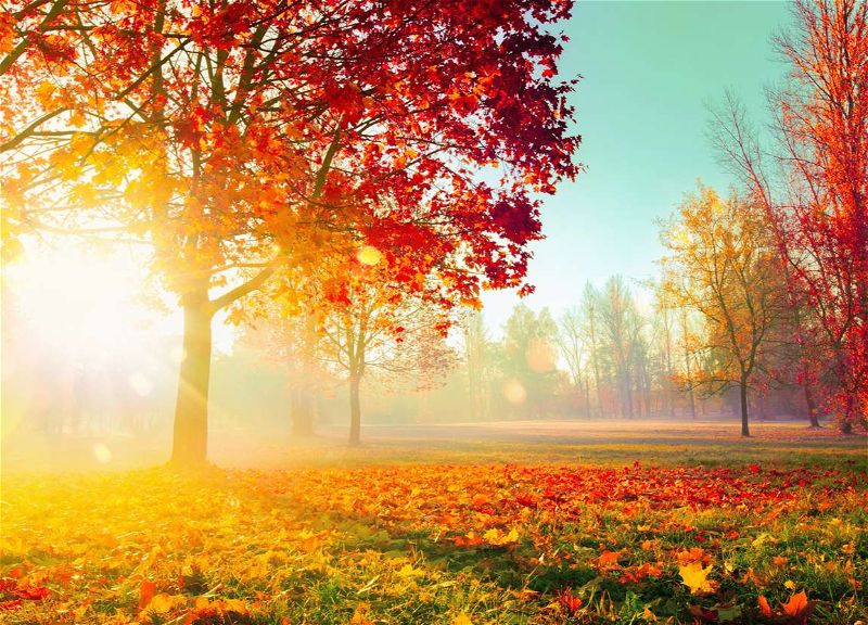 В Азербайджане прогнозируют до 24 градусов тепла