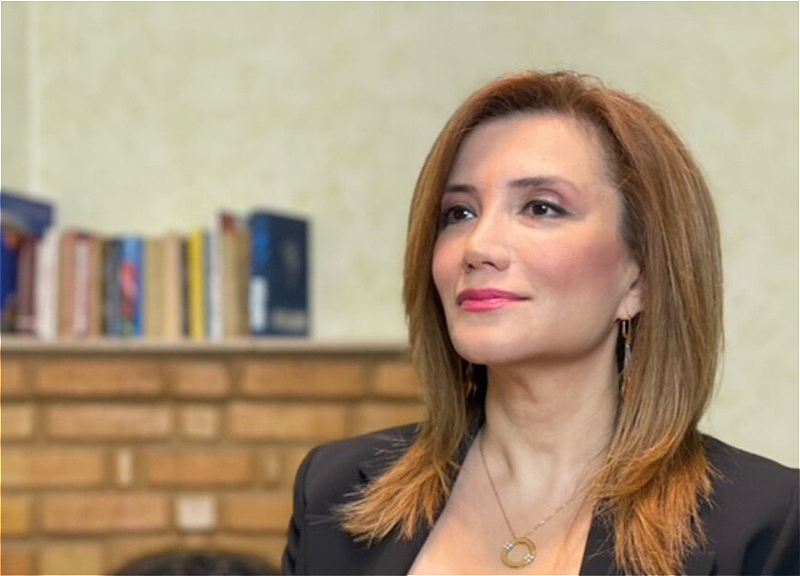 Search Conducted at Gültekin Hajibeyli's Home