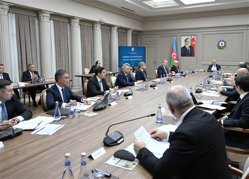 İqtisadi Şuranın iclası keçirilib - FOTO