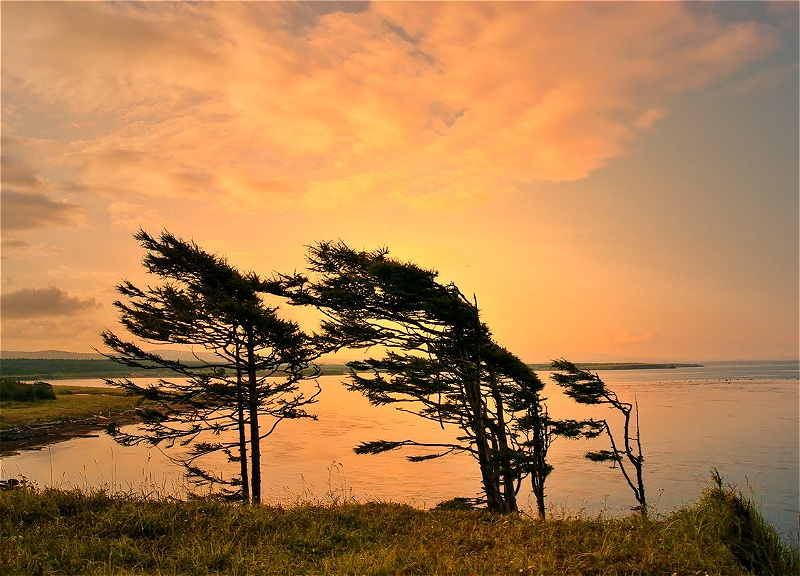 Погода на субботу: В Баку усилится ветер