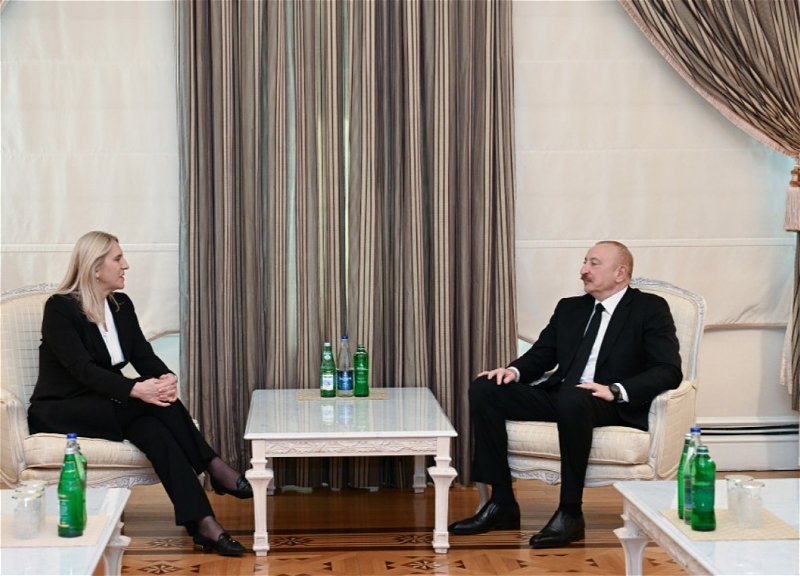 Prezident İlham Əliyev Bosniya və Herseqovina Rəyasət Heyətinin üzvü ilə görüşüb