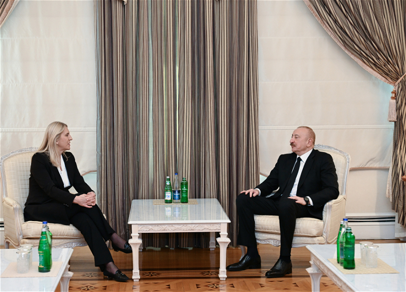 Президент Ильхам Алиев встретился с членом Президиума Боснии и Герцеговины - ФОТО