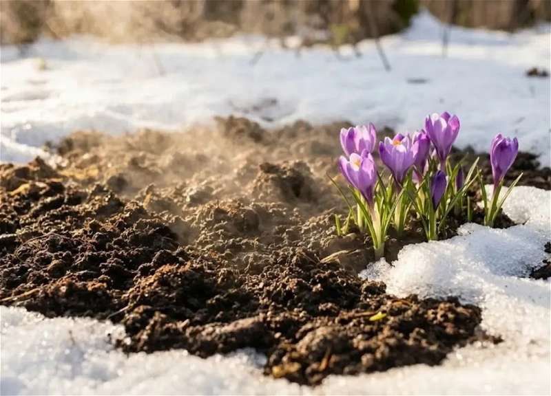 Sabah hava necə olacaq? - PROQNOZ