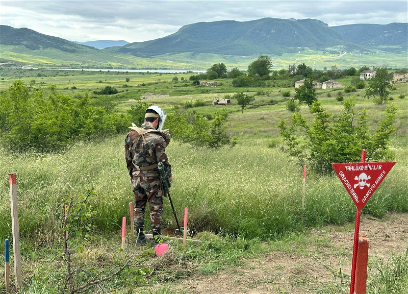 В Азербайджане семьи погибших саперов получат президентскую стипендию