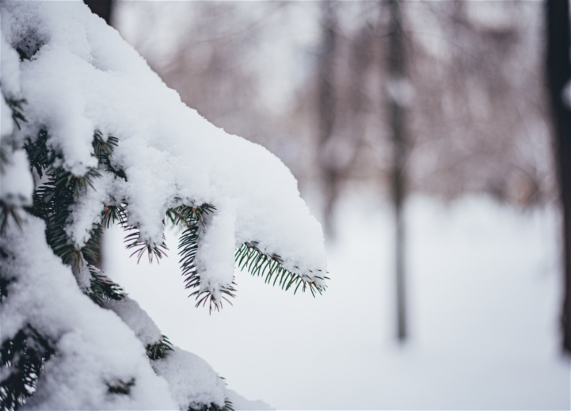 В Азербайджане высота снежного покрова достигла 124 см