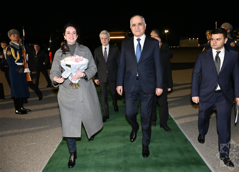 Премьер-министр Литвы прибыла с визитом в Азербайджан - ФОТО