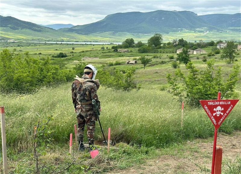 Милли Меджлис: обучение детей погибших саперов будет оплачиваться из госбюджета