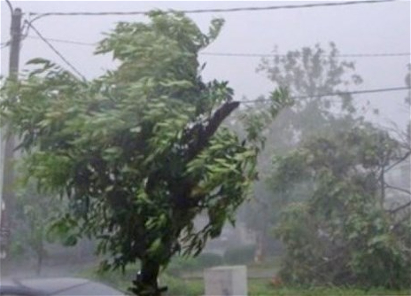 В Баку и на Абшероне будет пасмурно и ветрено