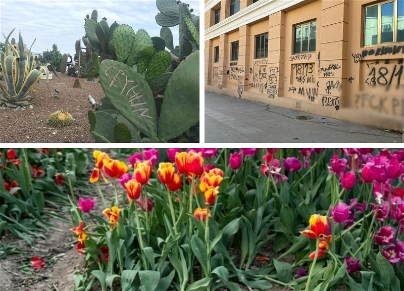 Gənclər niyə neqativ mövzularla gündəmə gəlmək istəyir? – Sosioloqdan açıqlama