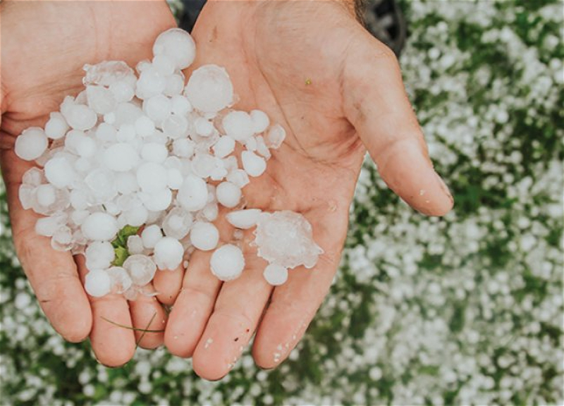Gülşad Məmmədova: Abşeron yarımadasında dolu nadir hallarda baş verir