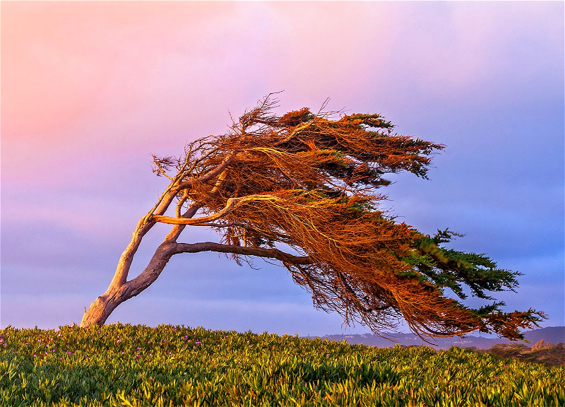 МЧС обратилось к населению на фоне ухудшения погодных условий в Азербайджане