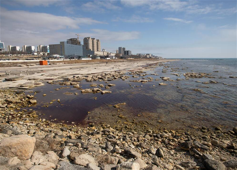 Ecologists raise alarm: Caspian Sea may shallow by tens of meters
