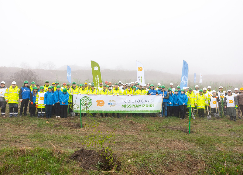 Series of tree-planting campaigns held in Dashkasan district - FOTO