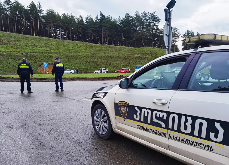 In Georgia, 55 illegal migrants detained, including citizens of Azerbaijan