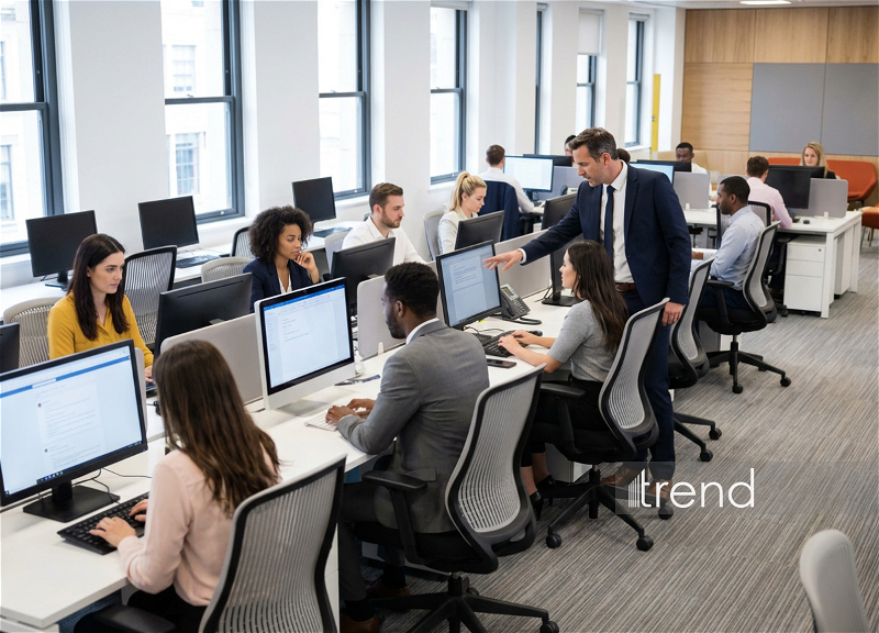 A new wage payment model may be applied in Azerbaijan