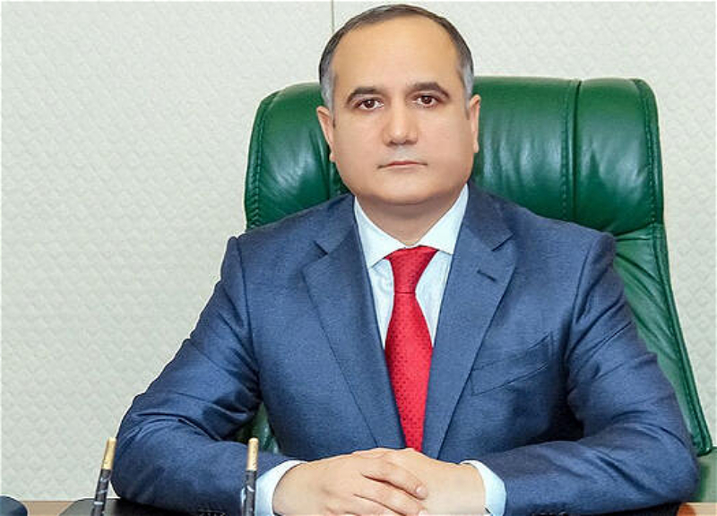 Kamaləddin Qafarov: “Azərbaycan öz siyasətini dəqiq diplomatik strategiya əsasında qurur”