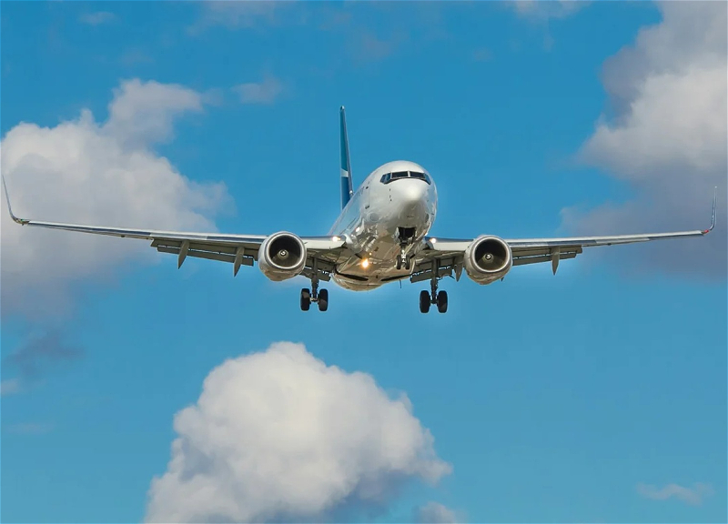 Airlines slash flights as fuel shortage fears mount