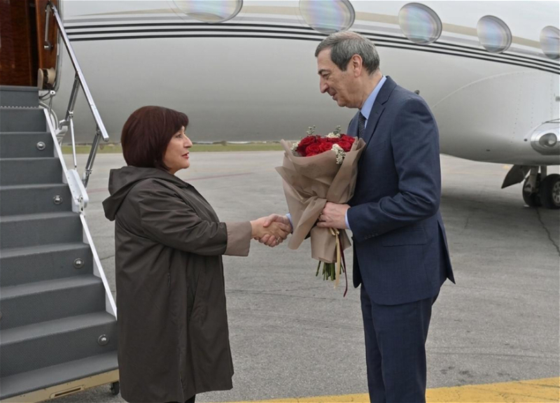 Azerbaijani Parliament Speaker heads to Montenegro for Mediterranean Summit