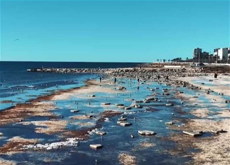 Northern Caspian Sea shallows: scientists record expansion of islands