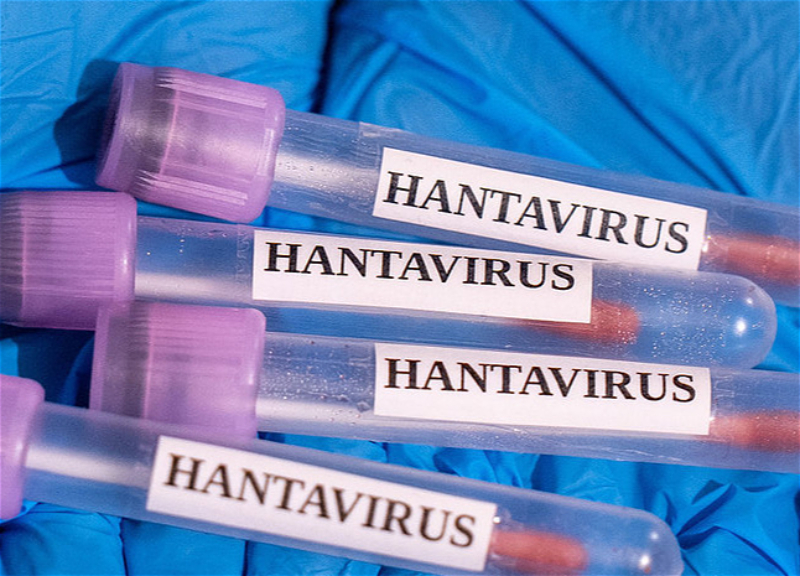 First hantavirus case in France