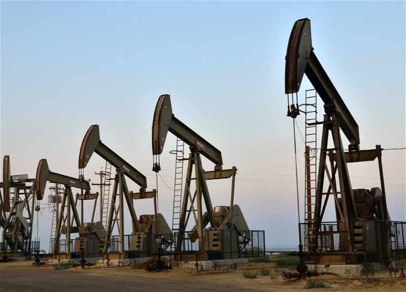 Azerbaijani oil rises in price