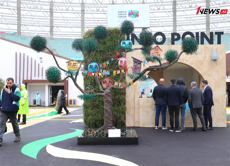 WUF13 in Baku breaks attendance records - photo report