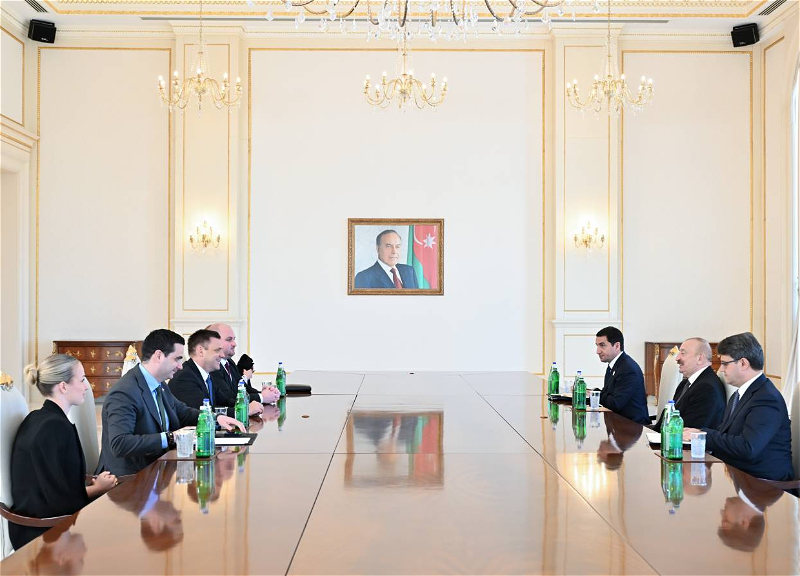 İlham Əliyev Slovakiya Baş nazirinin müavinini qəbul edib - FOTO