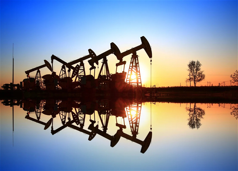 Azerbaijani oil rises in price