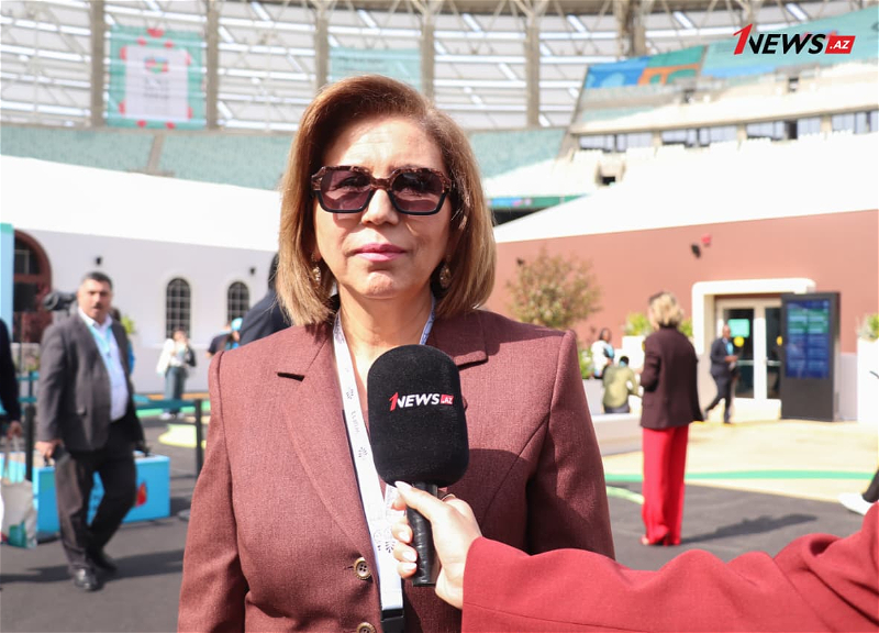 Bahar Muradova: “Gənclərin gələcəkdə mənzil böhranı ilə üzləşməməsi üçün uzunmüddətli planlaşdırma vacibdir”