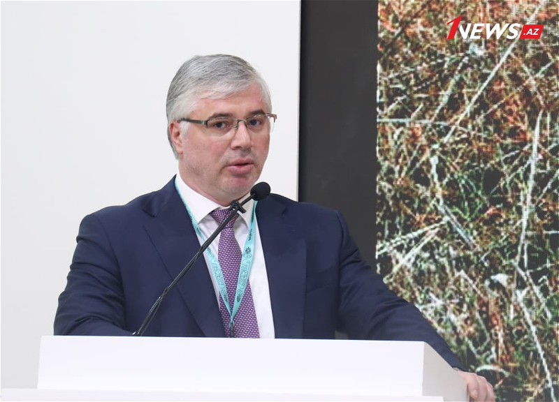 Samir Poladov: “2020-ci ilin noyabrından bəri Azərbaycanda mina terrorunun qurbanı 425 nəfər olub”