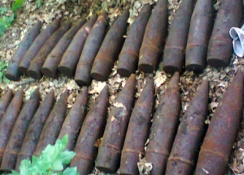 In Berlin, treasure hunter discovers 59 Soviet shells