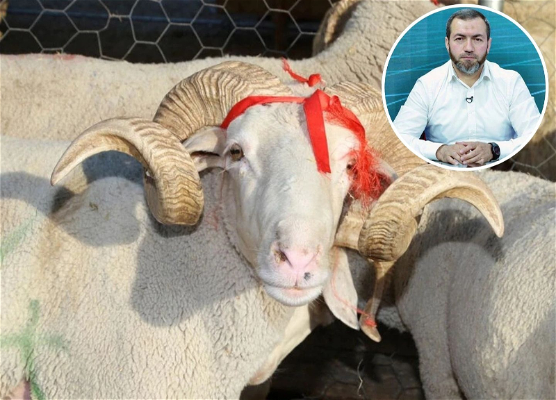 Borcu olan şəxs qurban kəsə bilərmi? – İlahiyyatçıdan suallara CAVAB