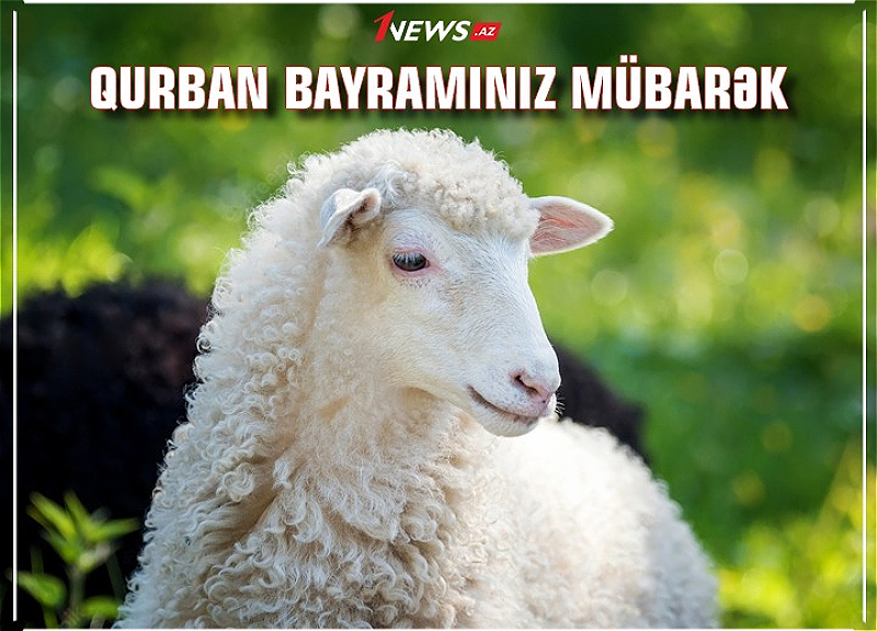 Bu gün Azərbaycanda Qurban bayramı qeyd olunur