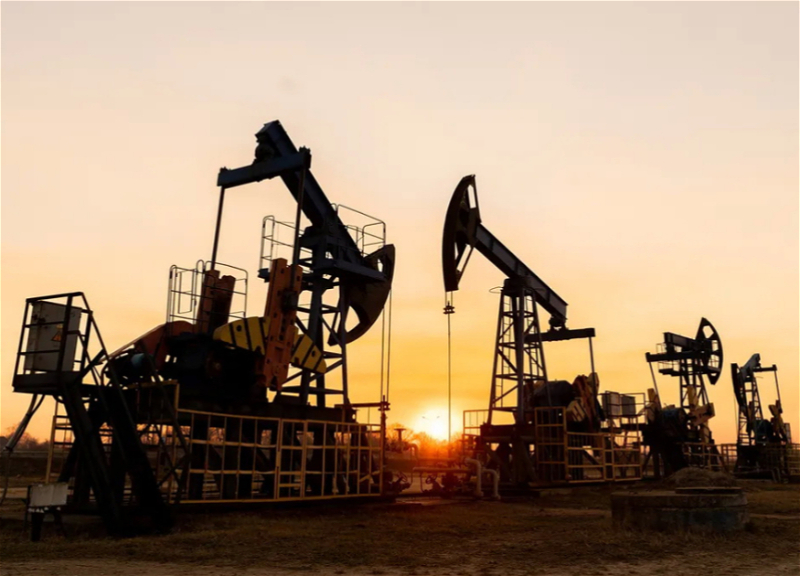 Azerbaijani oil has fallen in price
