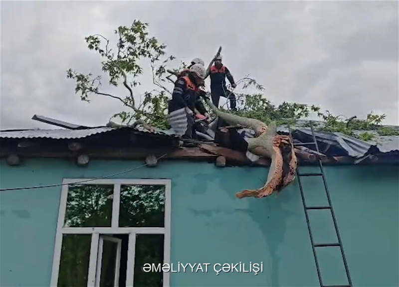 Ministry of Emergency Situations eliminates consequences of strong wind - VIDEO