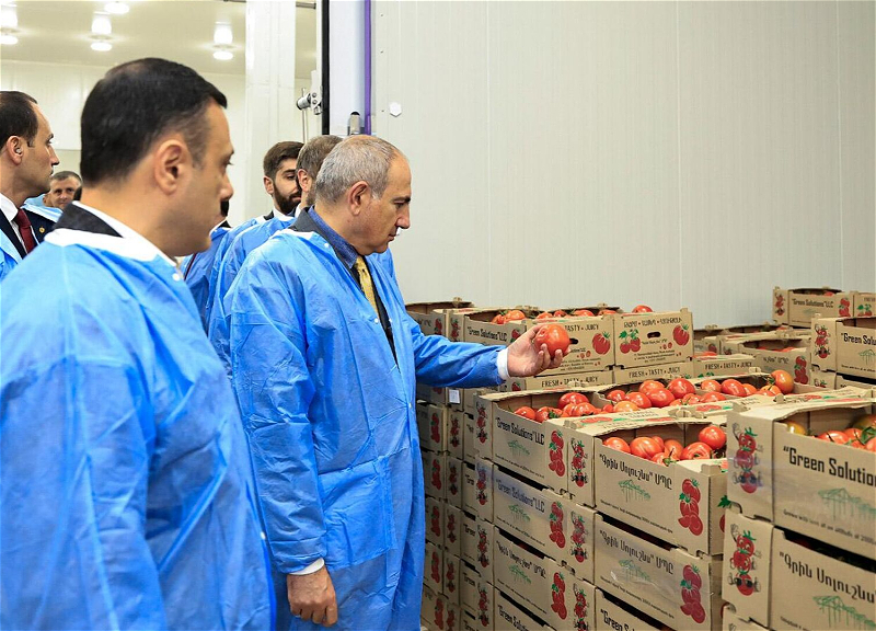 Pashinyan promises compensation to farmers facing restrictions on exporting goods to Russia