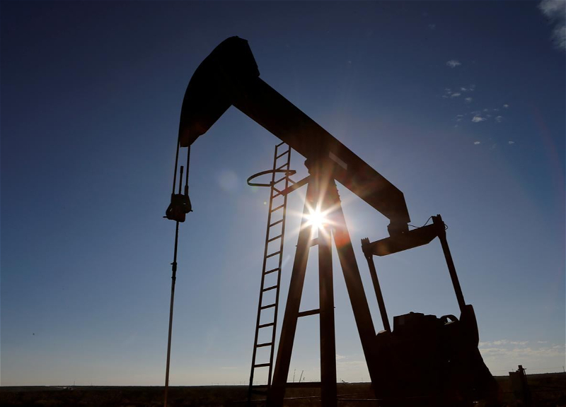 Politico: US oil industry representatives warned Donald Trump about price surge