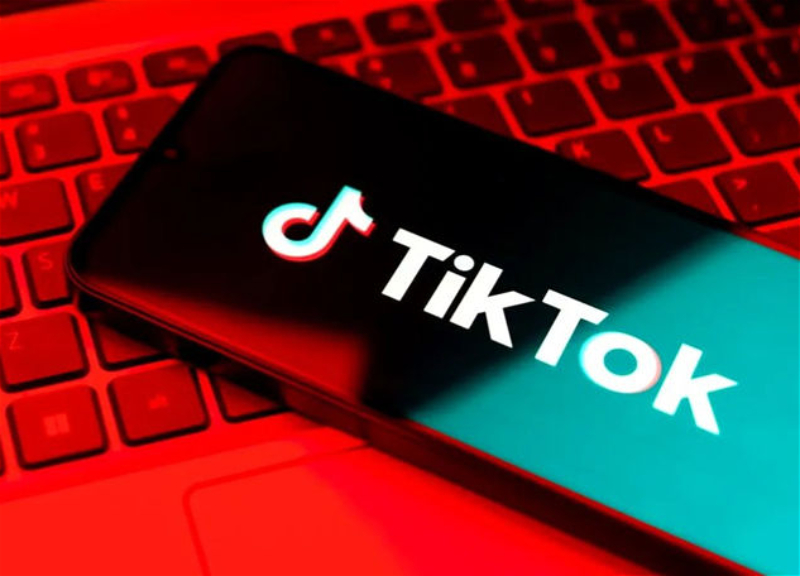 Firudin Gurbanov: Access to TikTok blocked in Azerbaijan schools