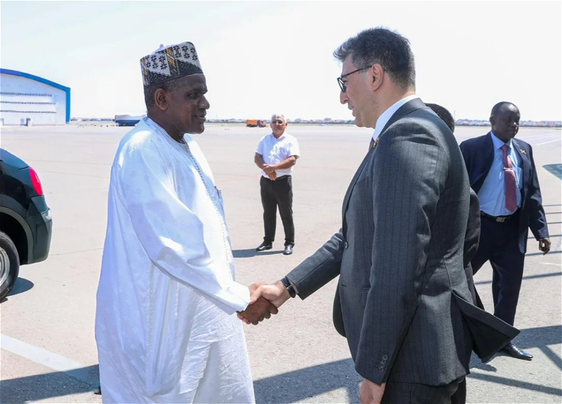 Representative of the parliament of Niger visited Azerbaijan