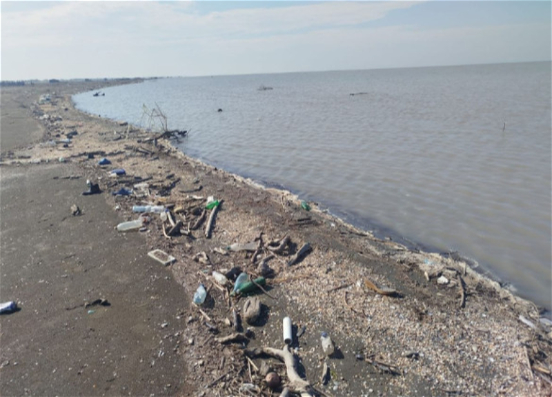 Ряд пляжей Азербайджана закрыли для купания - ПОДРОБНОСТИ - ФОТО