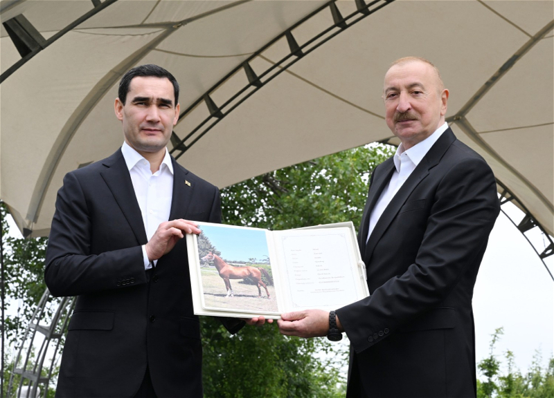 Garabagh Horse gifted to the President of Turkmenistan - FOTO