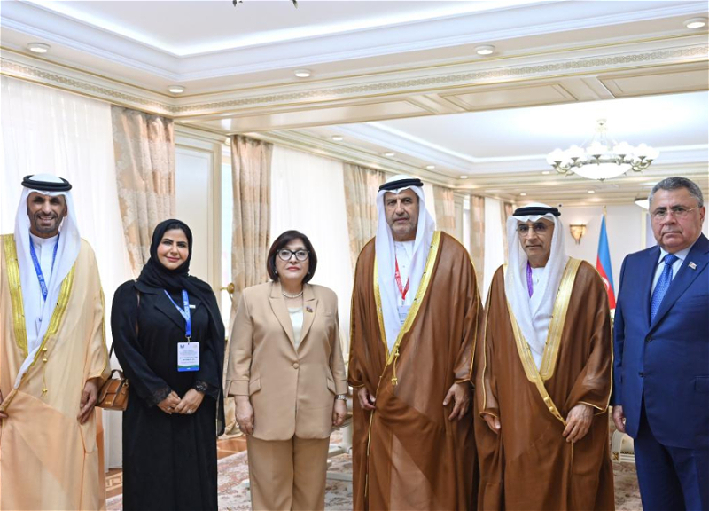 Speaker of Azerbaijan’s Milli Majlis meets First Deputy Speaker of UAE Federal National Council - FOTO