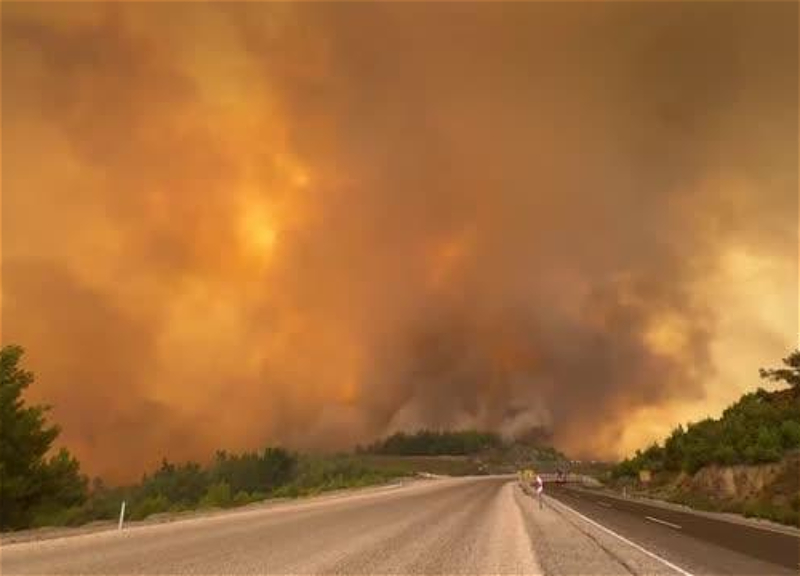 Turkey brings 110 of 115 wildfires under control