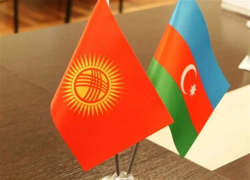 Azərbaycan–Qırğızıstan müttəfiqliyi türk dünyasında yeni strateji mərhələnin başlanğıcıdır - SƏRH