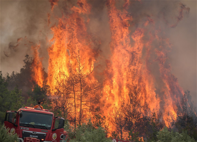 Turkey brings 202 of 206 wildfires under control