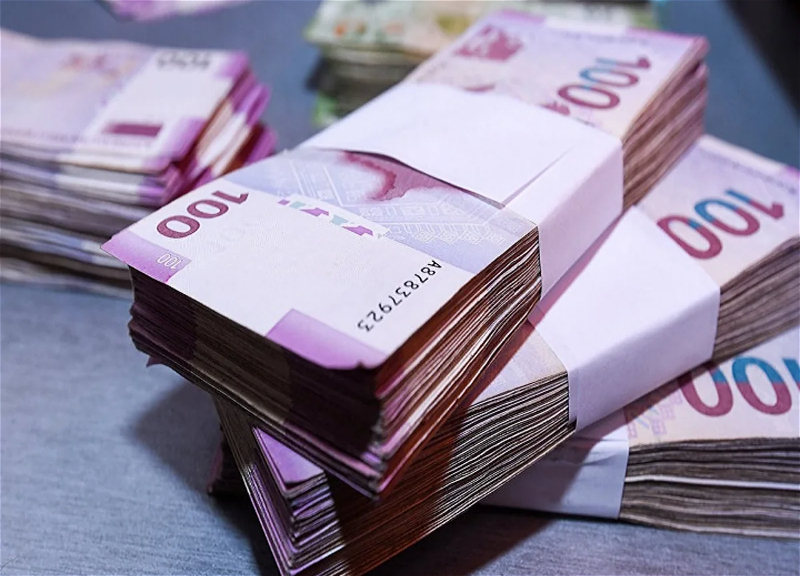 Manat circulation velocity rose in June