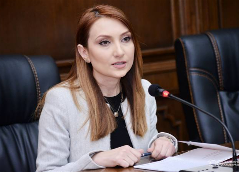 Former Armenian ambassador to the U.S. appointed to a new position